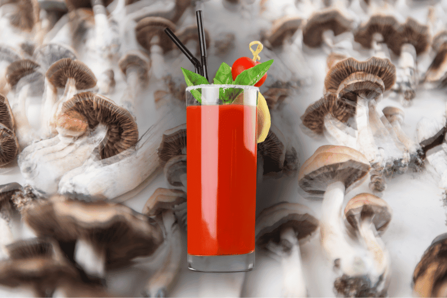 magic mushroom bloody mary