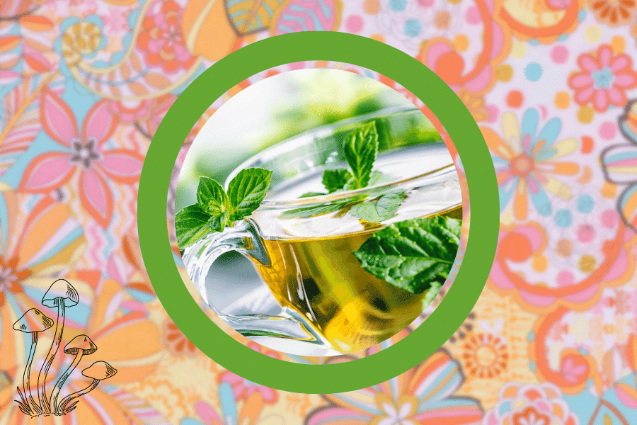 magic mushroom mint tea recipe