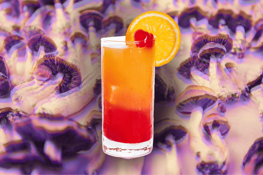 magic mushroom tequila sunrise