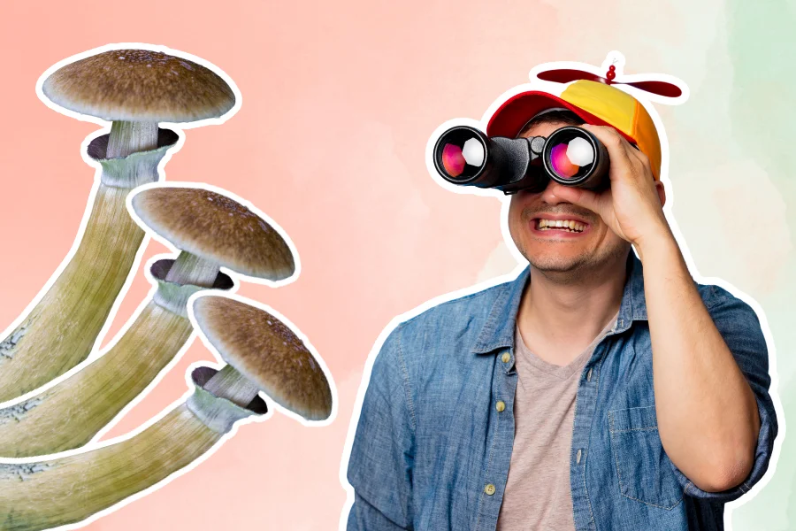 a person looking trough binoculars at mushrooms depicting shrooms for beginners