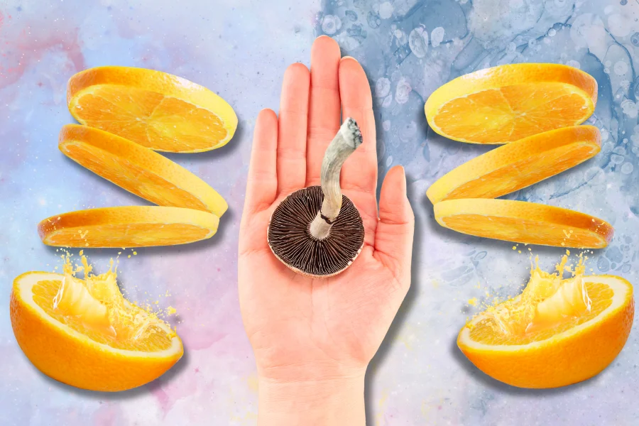 A hand holding a mushroom and oranges with juice symbolizing Shrooms and Orange Juice