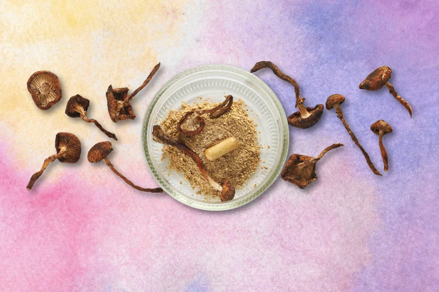 microdosing capsules, powder and mushrooms on pastel background depicting the question on how to microdose safely 