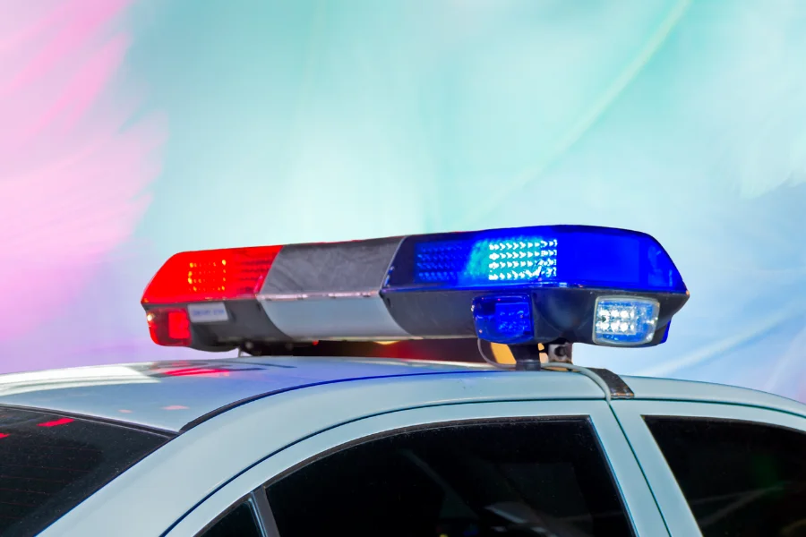 police car in front of shroom psychedelic background